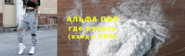 бошки Гусев