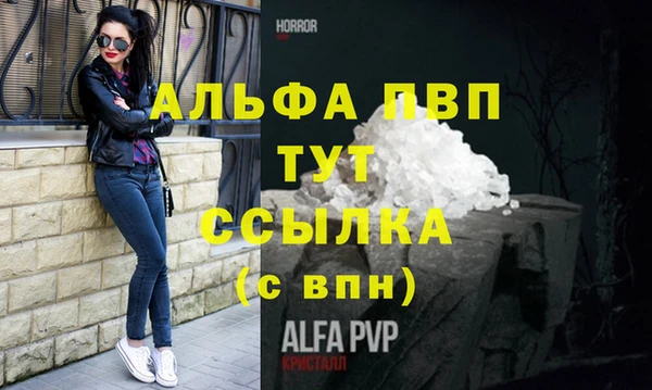 дурь Гусиноозёрск