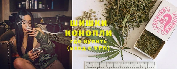 бошки Гусев