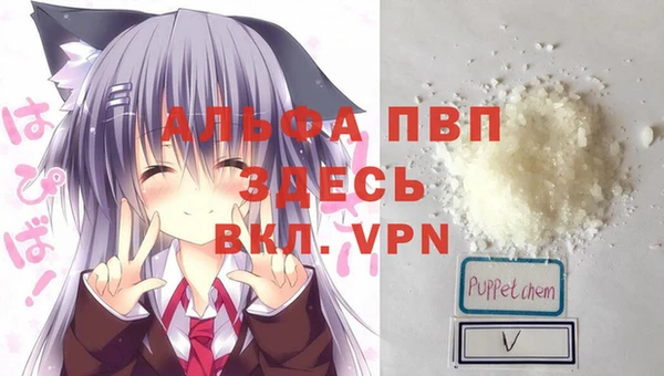 бошки Гусев