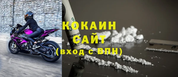 бошки Гусев